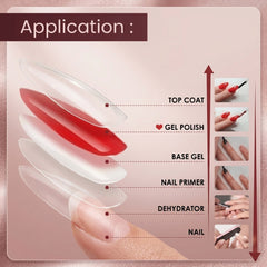 10ml Dark Ebony (24pcs set) SHILLS Professional