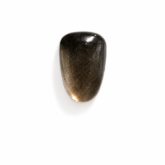 Shade(09) Fruit Cat Eye 10ml Fingertips