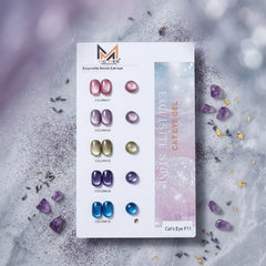 F11 Silky 15ml Cat Eye Gel Polish Set (5 Pcs) MC MEE Professional | Magnetic UV LED Nail Gel