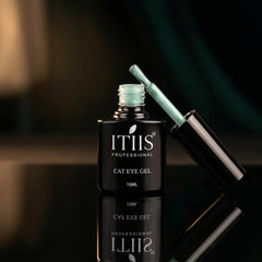 No.10 Silk 10ml Cat Eye's ITIIS Professional