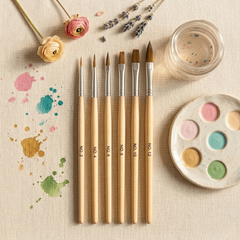 Acrylic Brushes (6 pcs)
