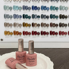 Silk Cat Eye Salon Set 7.5ml (100 Pcs) Recolte Professional